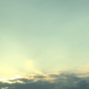 Meet your Posher, Katy